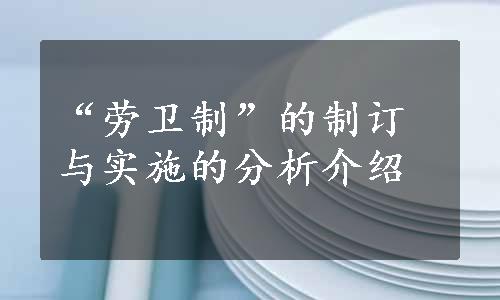 “劳卫制”的制订与实施的分析介绍