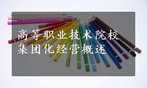 高等职业技术院校集团化经营概述