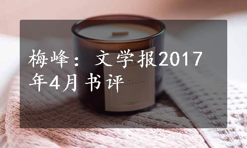 梅峰：文学报2017年4月书评