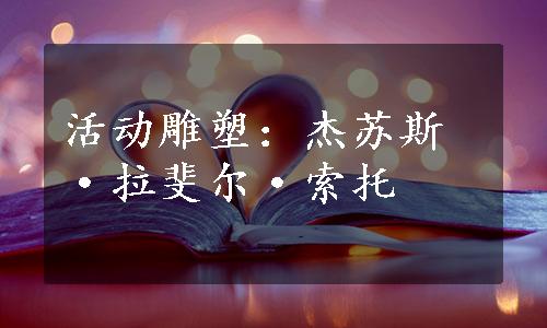 活动雕塑：杰苏斯·拉斐尔·索托