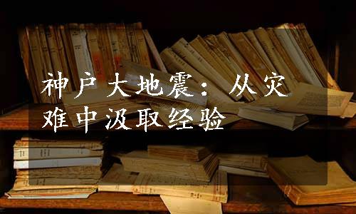 神户大地震：从灾难中汲取经验