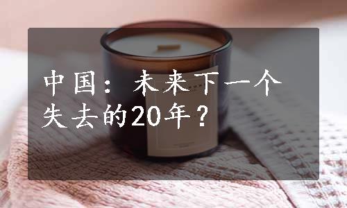 中国：未来下一个失去的20年？