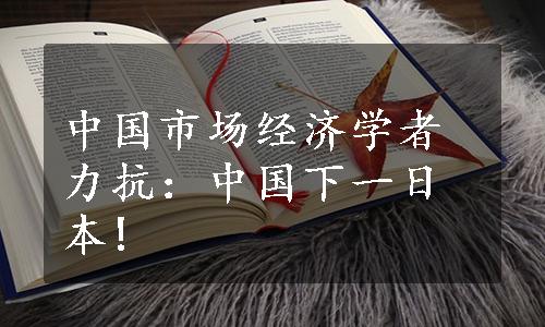 中国市场经济学者力抗：中国下一日本!