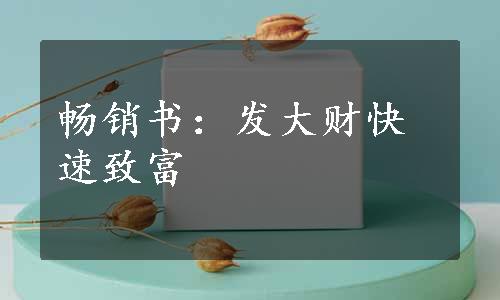 畅销书：发大财快速致富