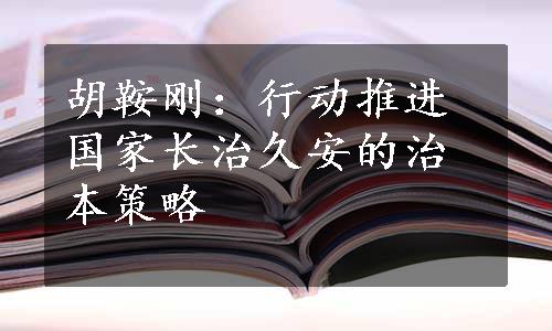 胡鞍刚：行动推进国家长治久安的治本策略