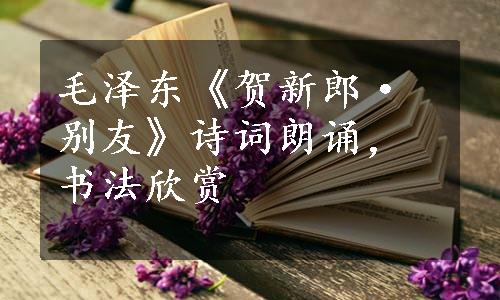 毛泽东《贺新郎·别友》诗词朗诵，书法欣赏