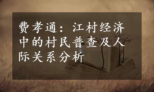 费孝通：江村经济中的村民普查及人际关系分析