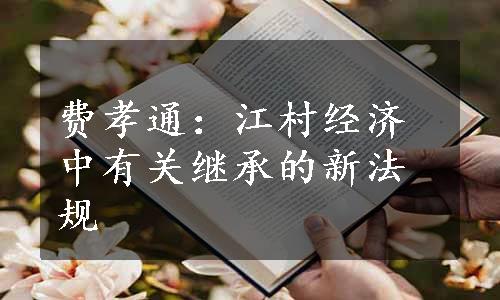 费孝通：江村经济中有关继承的新法规