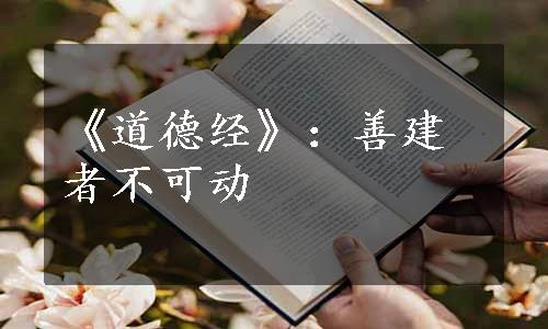 《道德经》：善建者不可动