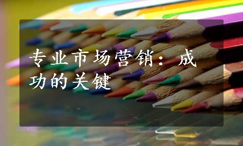 专业市场营销：成功的关键