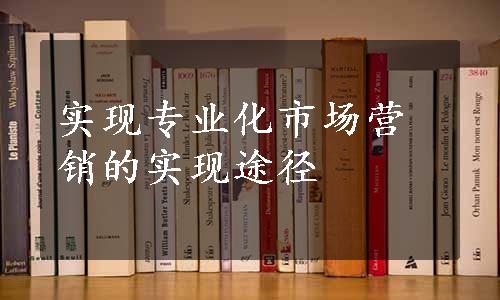 实现专业化市场营销的实现途径