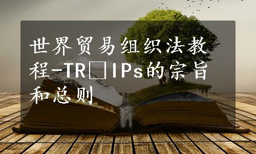 世界贸易组织法教程-TR IPs的宗旨和总则