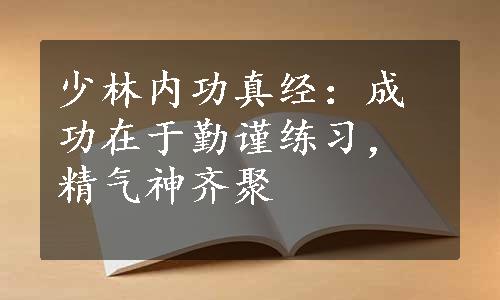 少林内功真经：成功在于勤谨练习，精气神齐聚