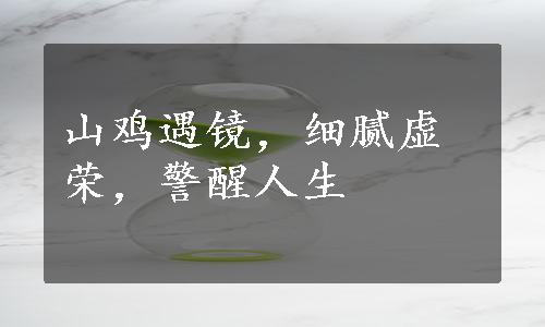 山鸡遇镜，细腻虚荣，警醒人生