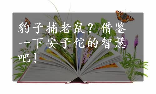 豹子捕老鼠？借鉴一下安子佗的智慧吧！