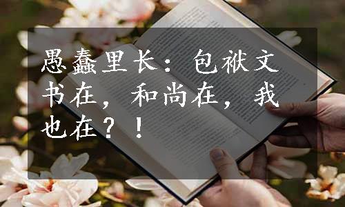 愚蠢里长：包袱文书在，和尚在，我也在？！