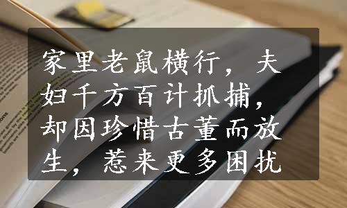 家里老鼠横行，夫妇千方百计抓捕，却因珍惜古董而放生，惹来更多困扰