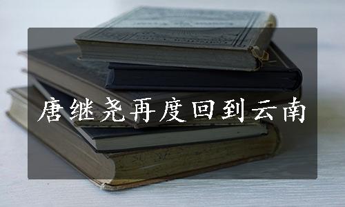 唐继尧再度回到云南