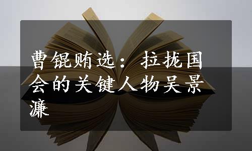 曹锟贿选：拉拢国会的关键人物吴景濂