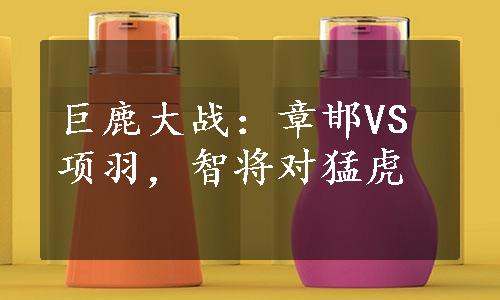 巨鹿大战：章邯VS项羽，智将对猛虎