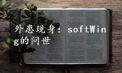 外患现身：softWing的问世