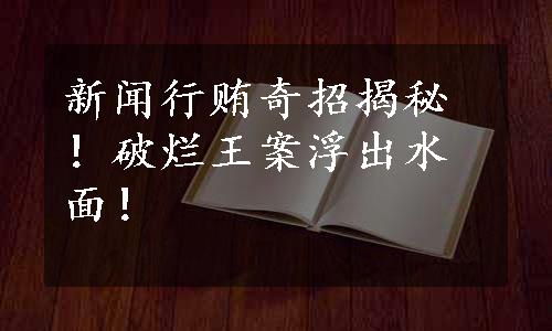 新闻行贿奇招揭秘！破烂王案浮出水面！