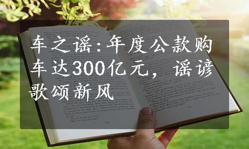 车之谣:年度公款购车达300亿元，谣谚歌颂新风