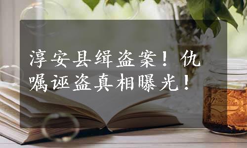 淳安县缉盗案！仇嘱诬盗真相曝光！