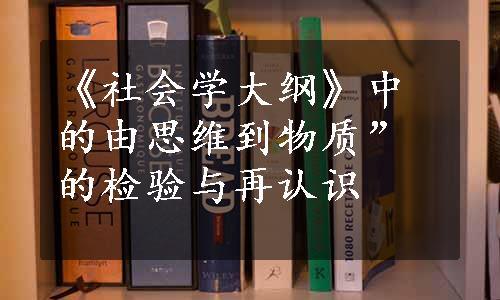 《社会学大纲》中的由思维到物质”的检验与再认识