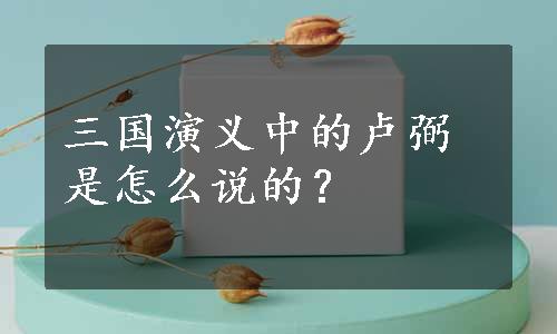 三国演义中的卢弼是怎么说的？