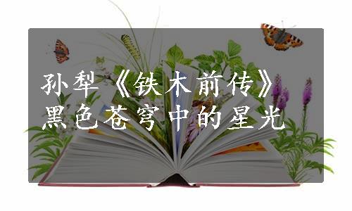 孙犁《铁木前传》黑色苍穹中的星光