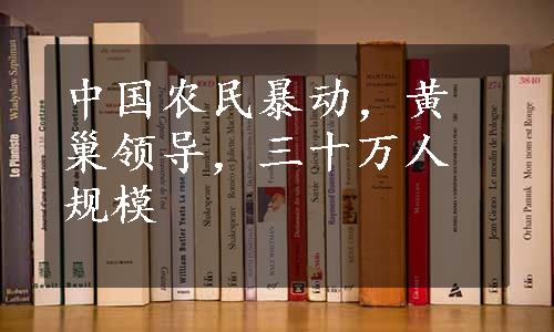 中国农民暴动，黄巢领导，三十万人规模