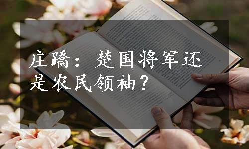 庄蹻：楚国将军还是农民领袖？