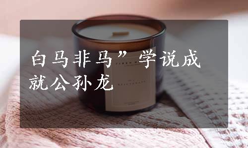 白马非马”学说成就公孙龙