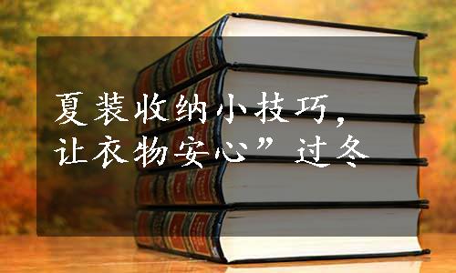 夏装收纳小技巧，让衣物安心”过冬