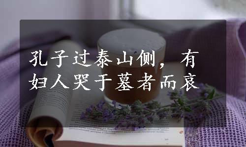 孔子过泰山侧，有妇人哭于墓者而哀