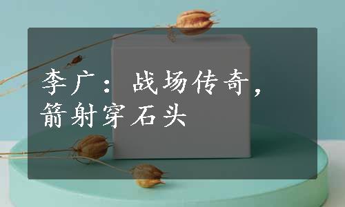 李广：战场传奇，箭射穿石头