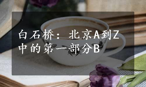 白石桥：北京A到Z中的第一部分B