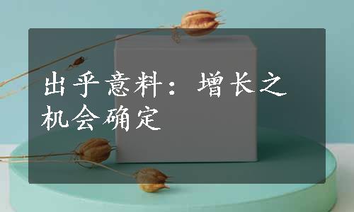 出乎意料：增长之机会确定