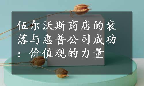 伍尔沃斯商店的衰落与惠普公司成功：价值观的力量