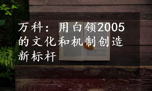 万科：用白领2005的文化和机制创造新标杆