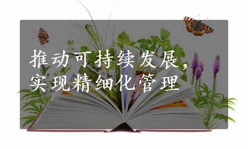 推动可持续发展，实现精细化管理