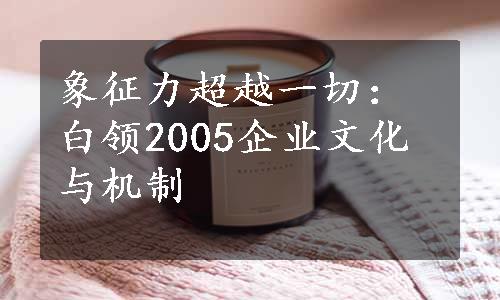 象征力超越一切：白领2005企业文化与机制