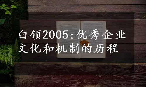 白领2005:优秀企业文化和机制的历程