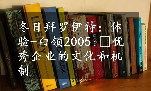 冬日拜罗伊特：体验-白领2005: 优秀企业的文化和机制