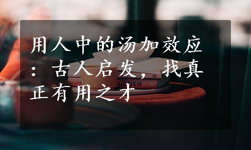 用人中的汤加效应：古人启发，找真正有用之才