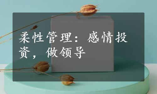 柔性管理：感情投资，做领导