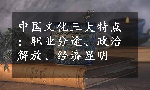 中国文化三大特点：职业分途、政治解放、经济显明