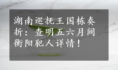 湖南巡抚王国栋奏折：查明五六月间衡阳犯人详情！