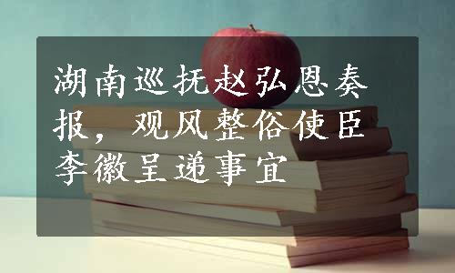 湖南巡抚赵弘恩奏报，观风整俗使臣李徽呈递事宜